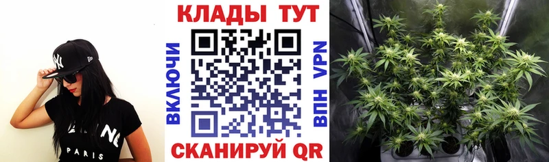 Где купить Коркино APVP  МЕФ  Кокаин  ГАШ  Бошки Шишки 