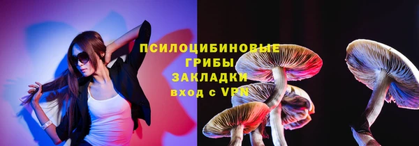 кокс Богородицк
