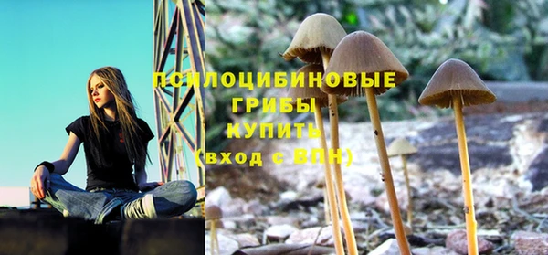 кокс Богородицк